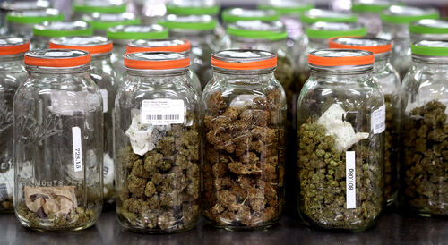 Pot shops